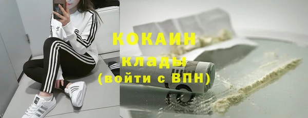 эйфоретик Арсеньев