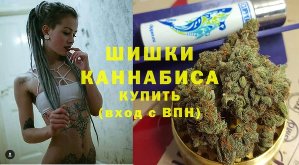 эйфоретик Арсеньев