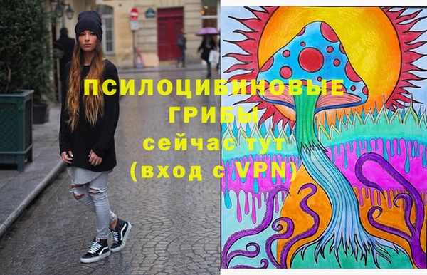 эйфоретик Арсеньев