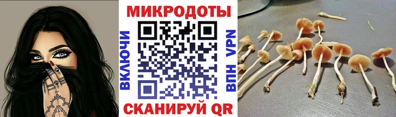 Псилоцибиновые грибы Psilocybine cubensis  закладки  Сорск 